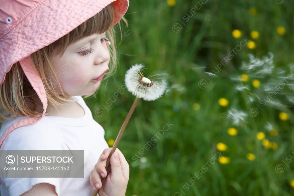 Girl blowing dandelion flower, close-up
