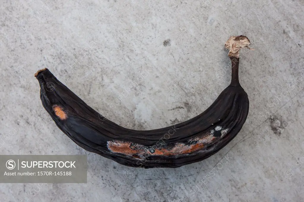 Rotting banana, close-up