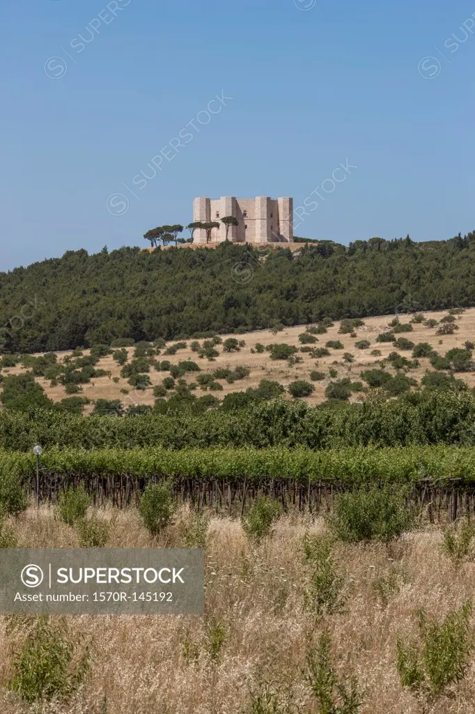 View of green trees and Castel Del Monte, Apulia, Italy