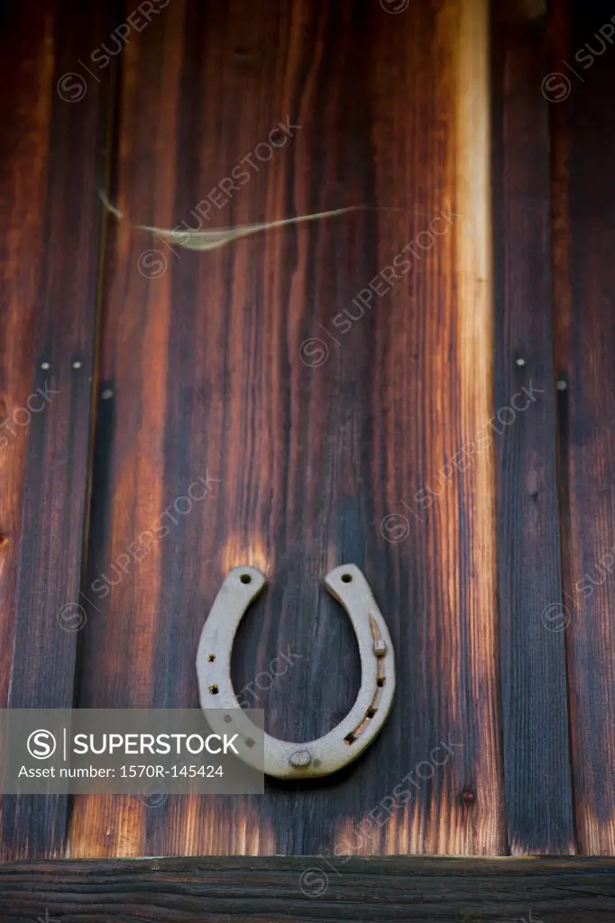 Good luck horseshoe on wood