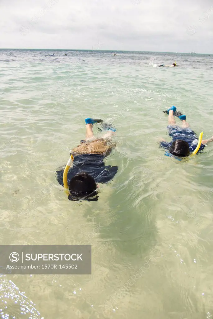 People snorkeling in sea