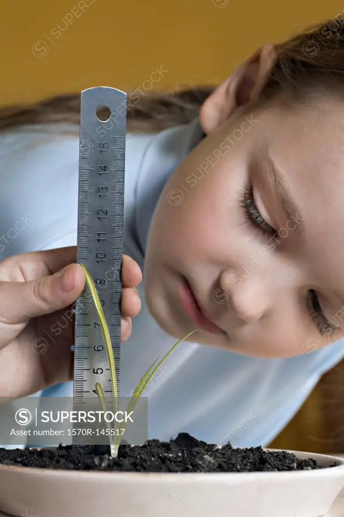Girl measuring height of seedling
