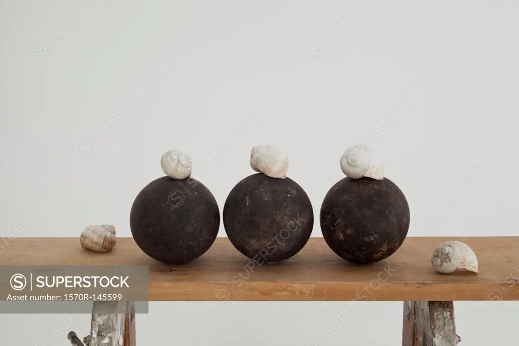 Snail shells and spheres on wooden workbench