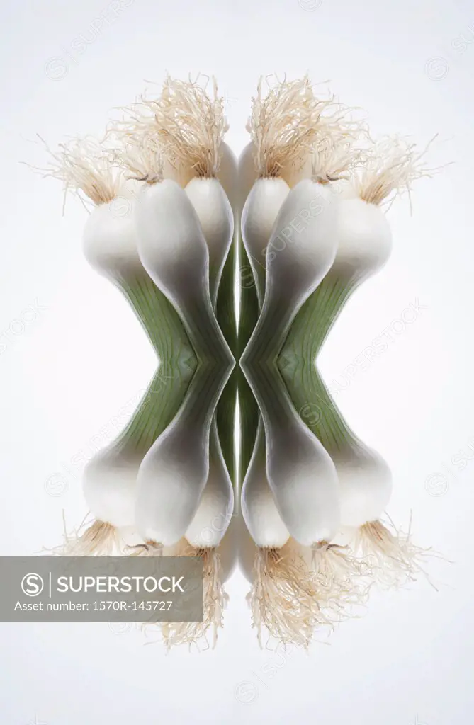 A digital composite of mirrored images of the tops of a bunch of spring onions