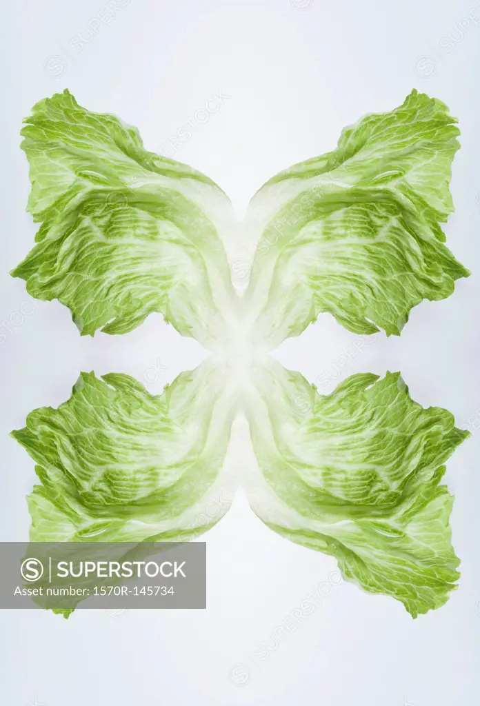 A digital composite of mirrored images of leaves of iceberg lettuce