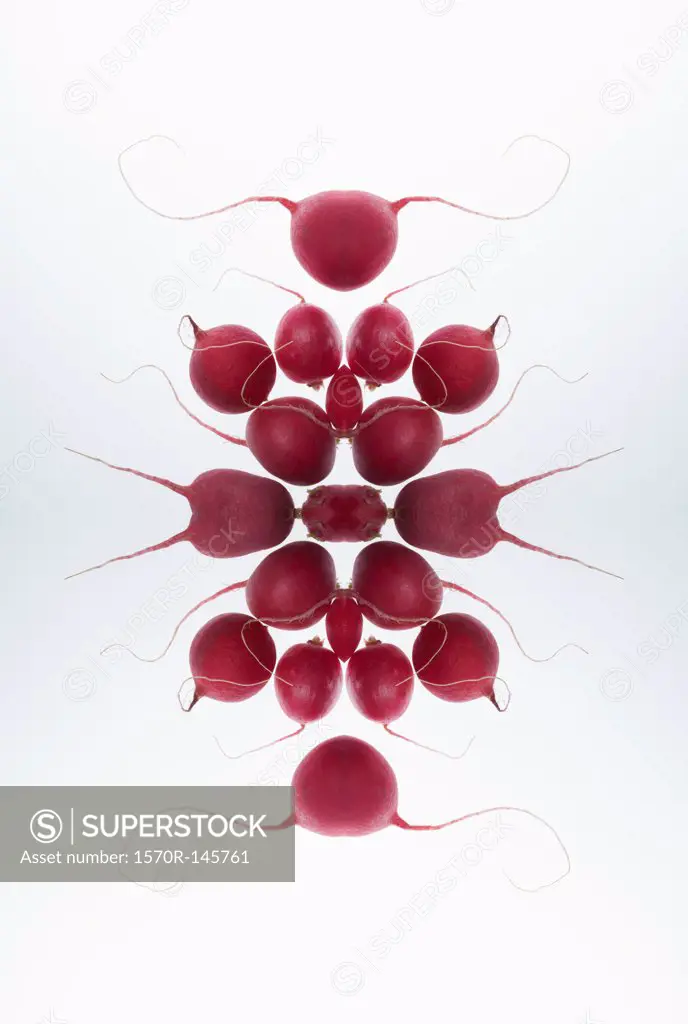 A digital composite of mirrored images of an arrangement of radishes