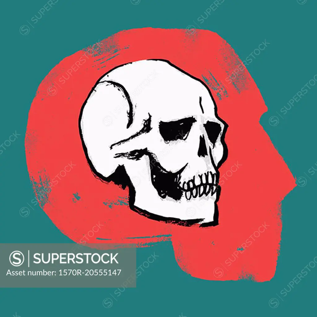 Illustration of skull in human head against green background