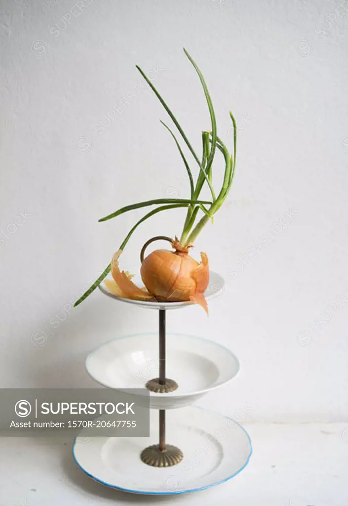 Sprouted onion on cake stand
