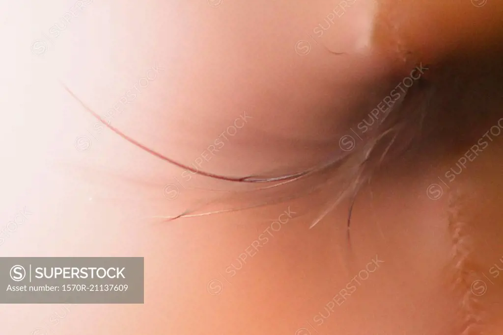 Extreme close-up of woman's eyelashes