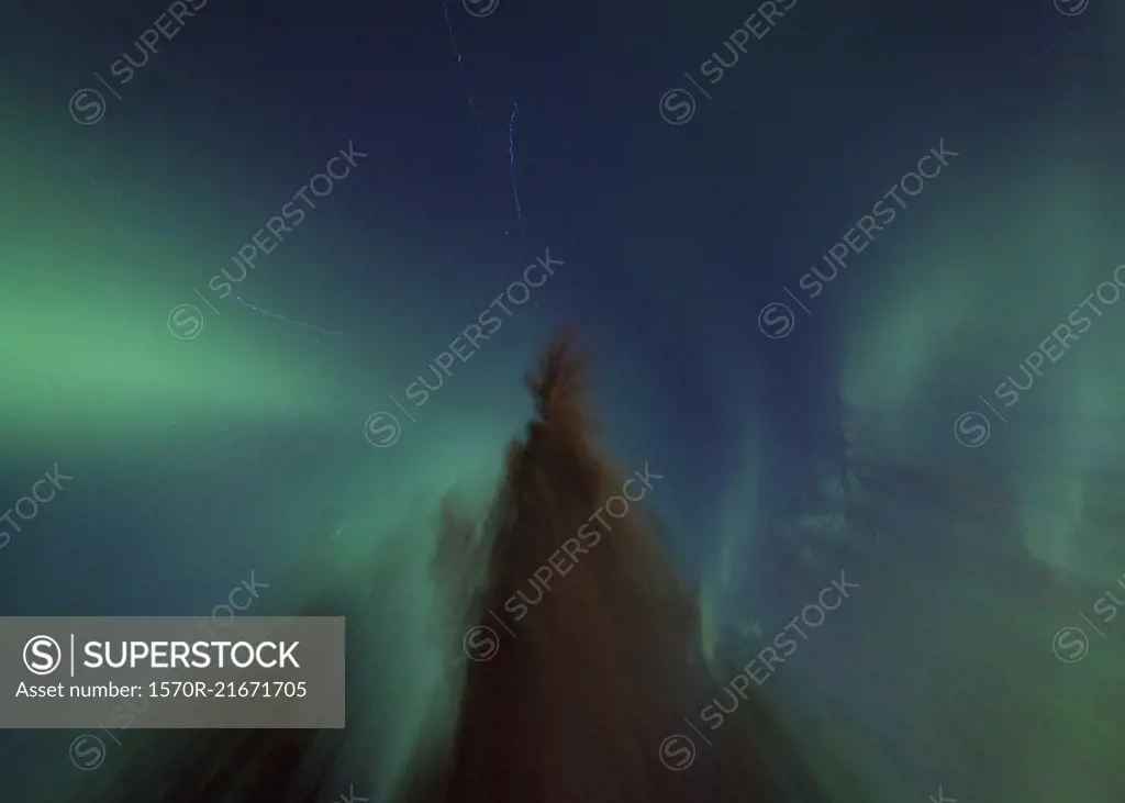 Idyllic view of Aurora Borealis over trees at night, Kiruna, Sweden