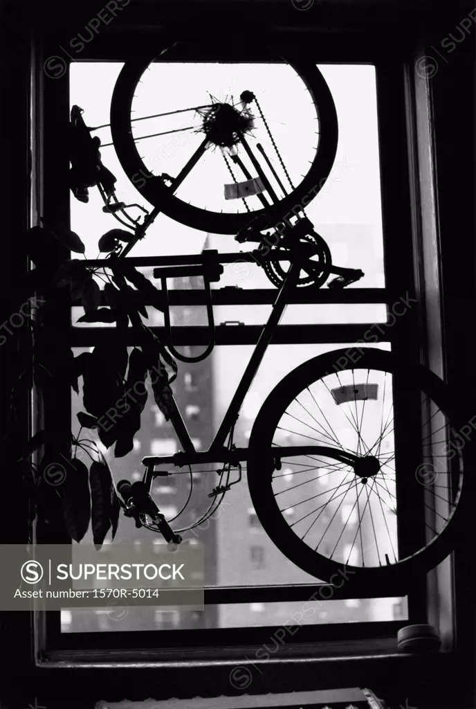 A bicycle hanging in a window