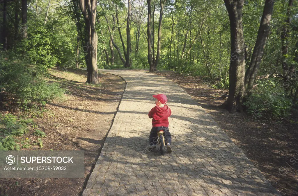 A child riding a tricycle in the woods