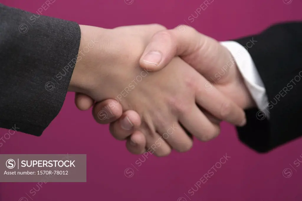 Two businesspeople shaking hands