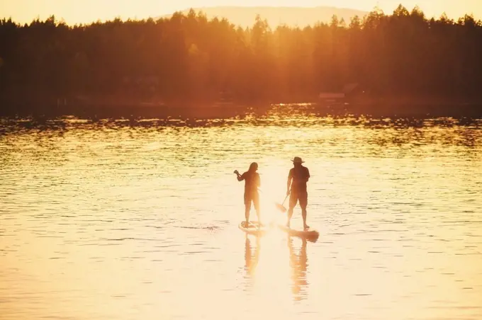 Silhouette couple standup paddleboarding on sunny sunset lake, Shawnigan Lake, Canada