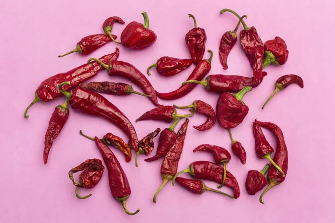 Red chili peppers on bright pink background