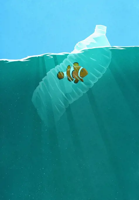 Fish trapped in plastic water bottle in ocean