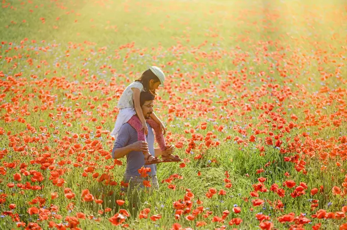 Father carrying daughter on shoulders in sunny idyllic rural field with red poppies