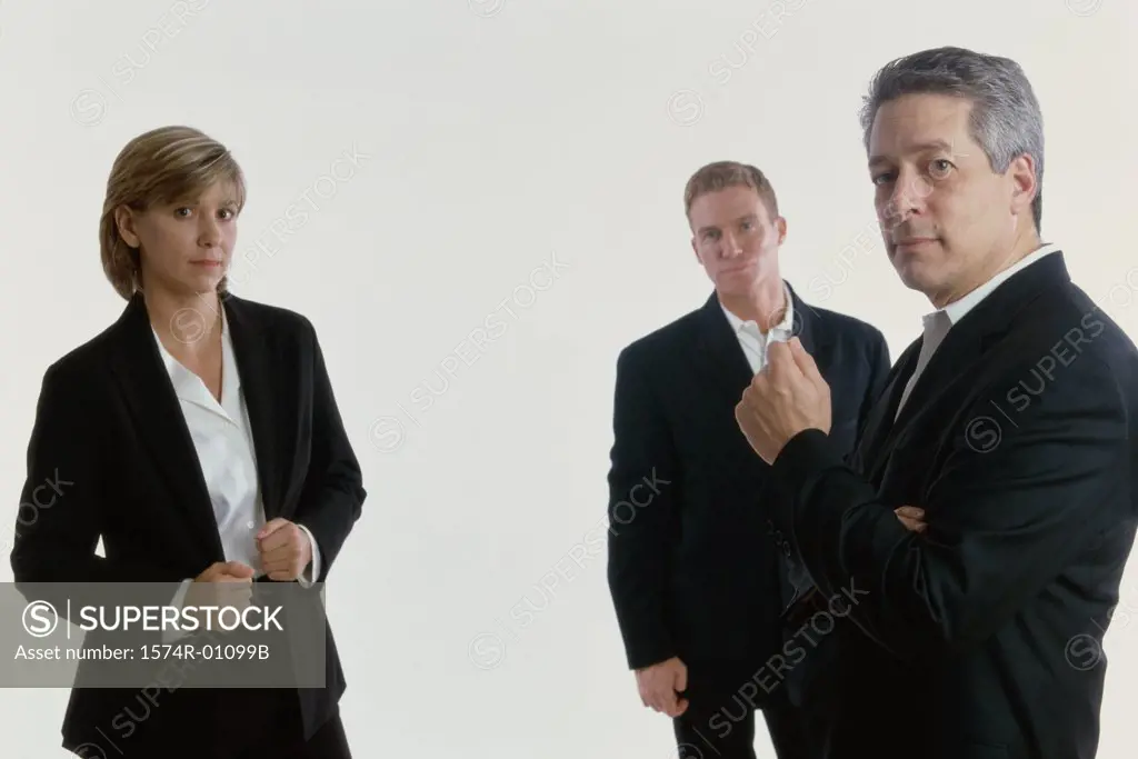 Portrait of business executives