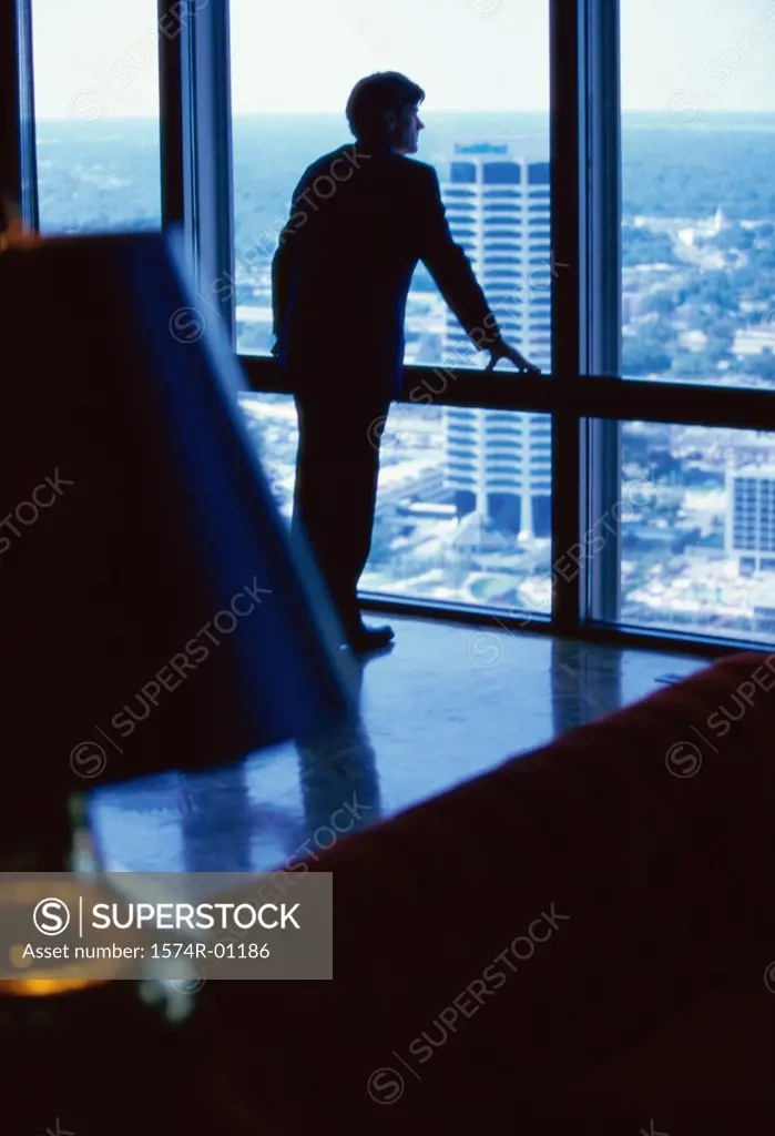 Rear view of a businessman standing at a window