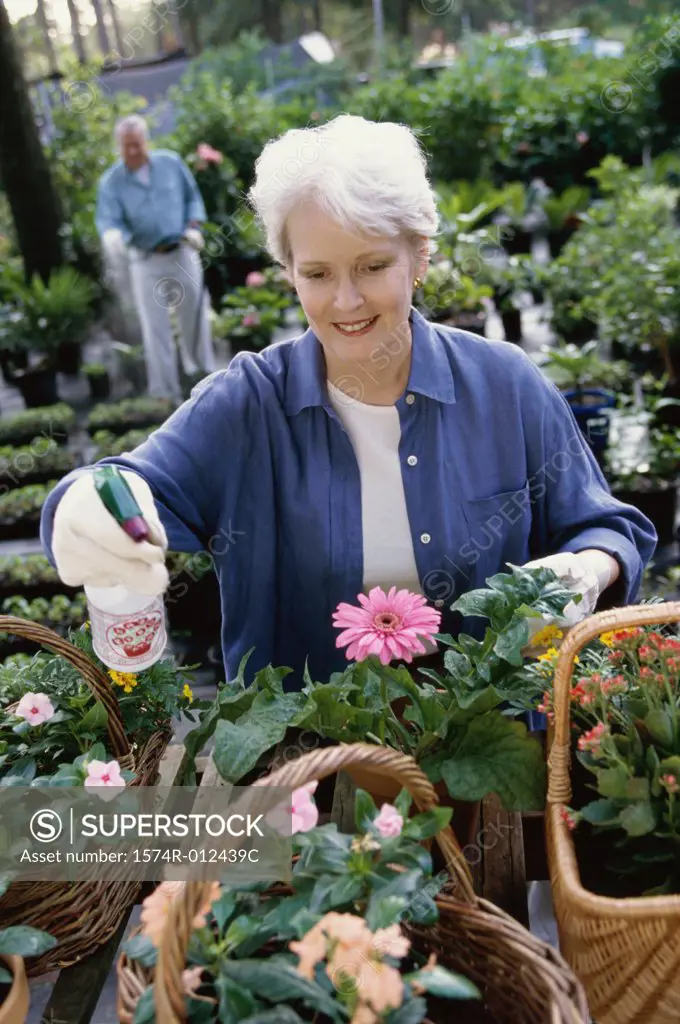 High angle view of a senior woman spraying flowers
