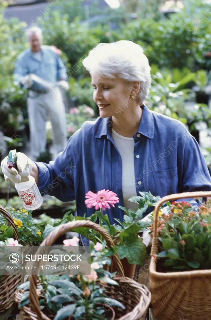 High angle view of a senior woman spraying flowers