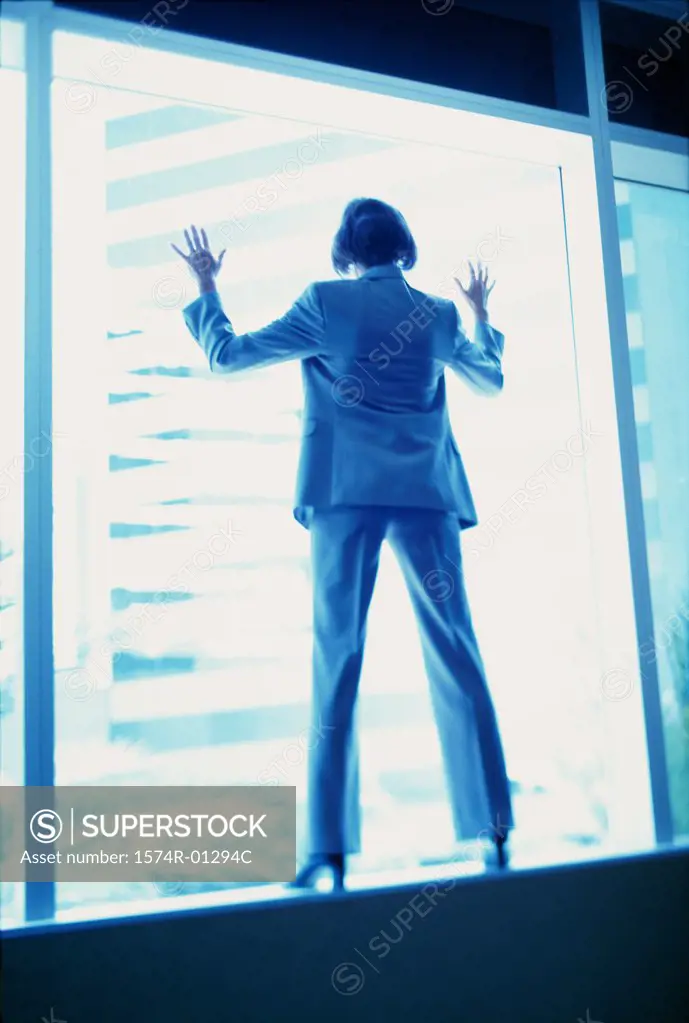 Rear view of a businesswoman standing on a window ledge