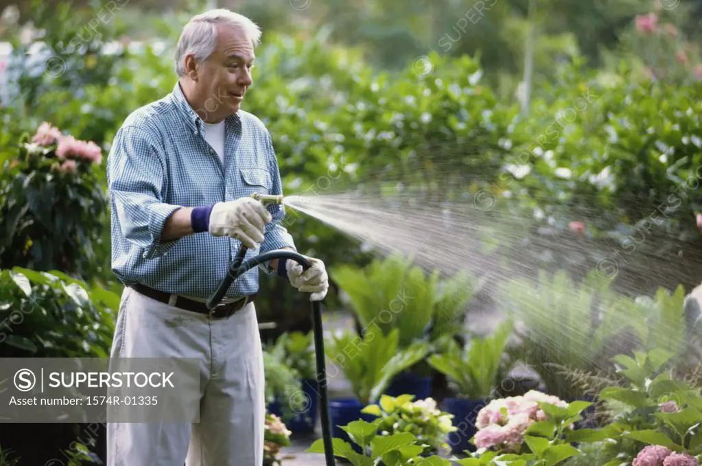 Senior man watering plants with a garden hose