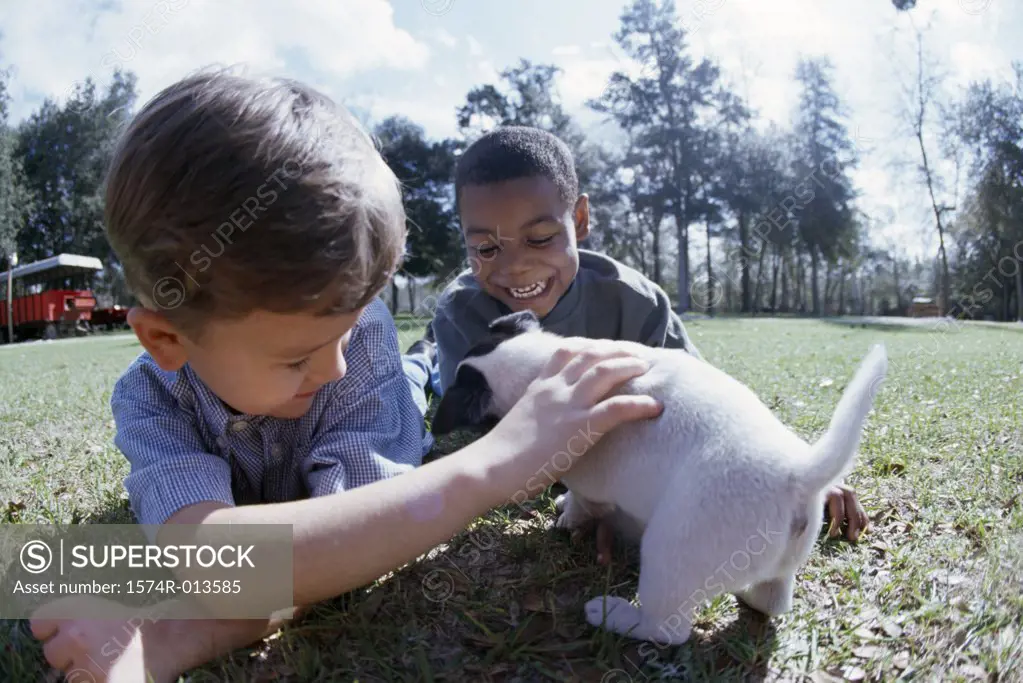 Close-up of two boys playing with a puppy on a lawn