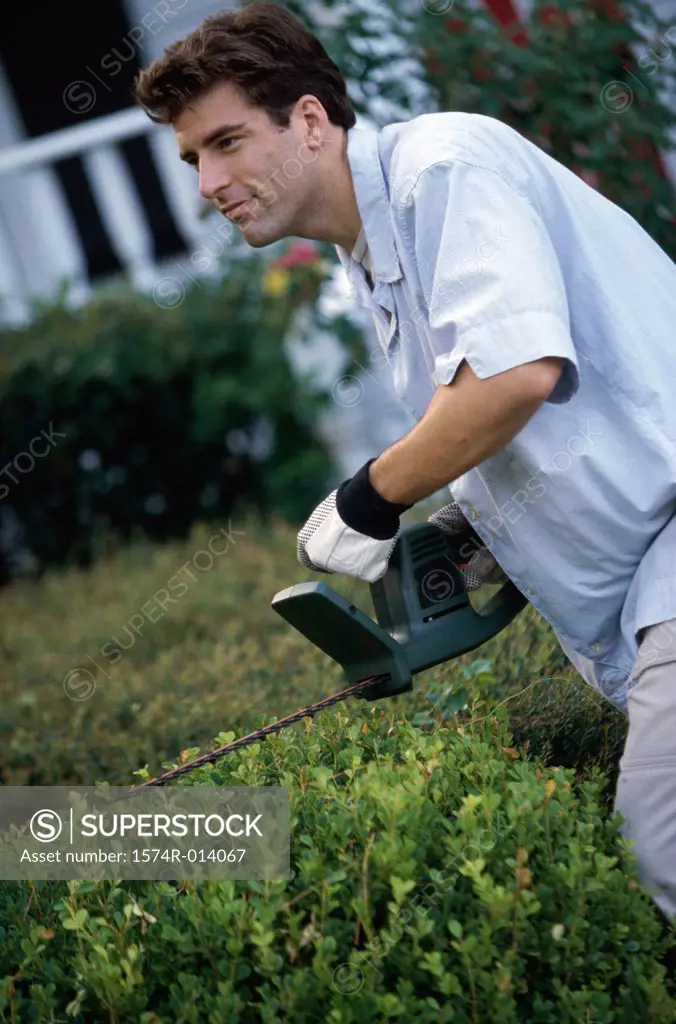 Side profile of a mid adult man trimming a hedge
