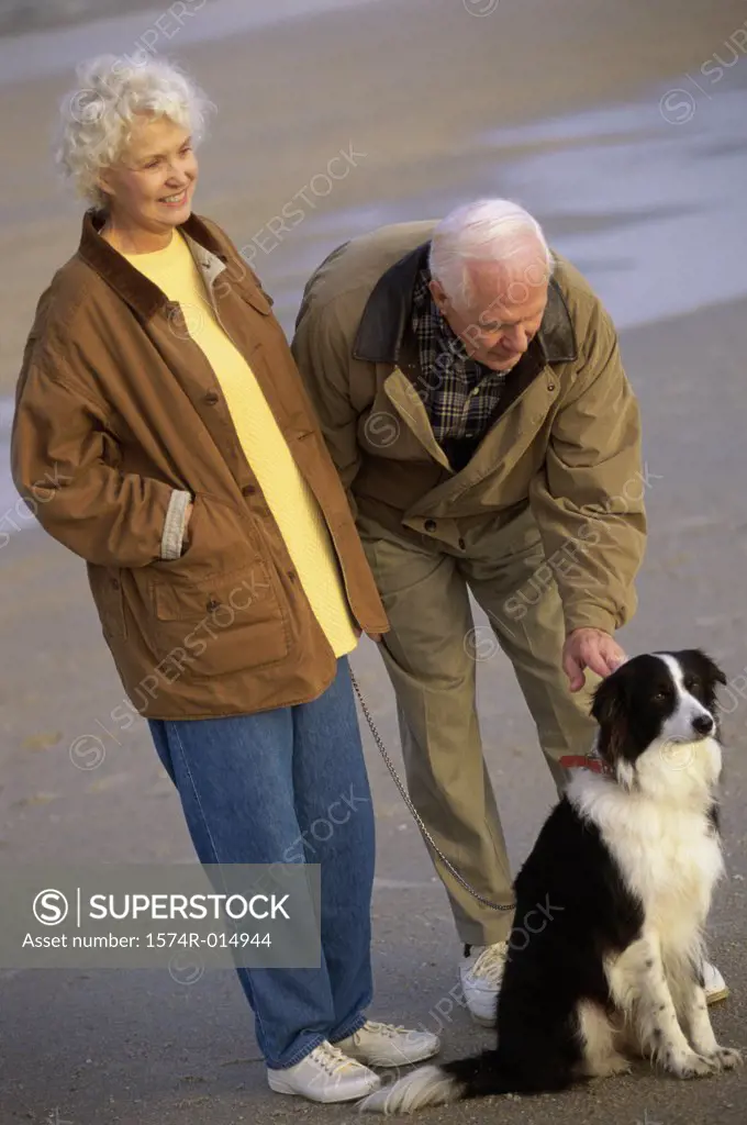 Senior couple standing on the beach with their dog