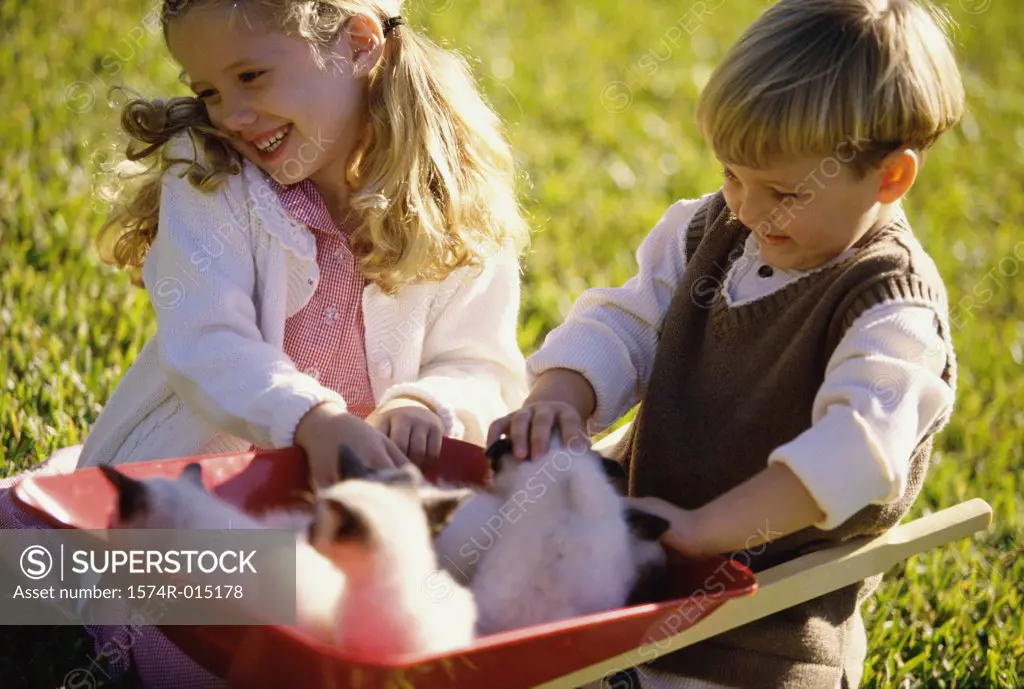 Boy and girl playing with kittens in a wheelbarrow