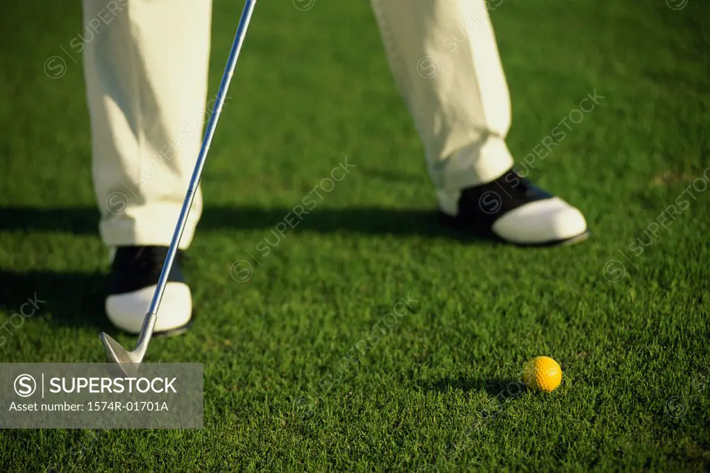 Low section view of a person playing golf