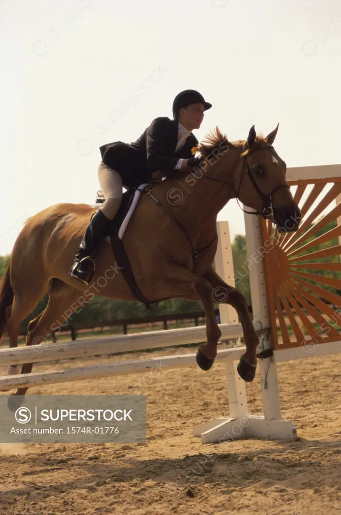 Side profile of a woman riding a horse over a hurdle