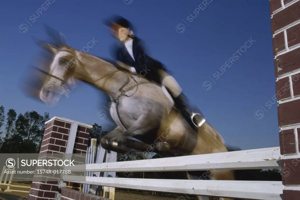 Low angle view of a woman riding a horse over a hurdle