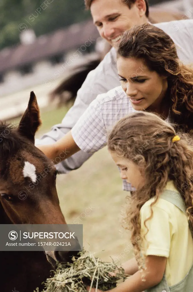 Girl feeding a horse with her parents