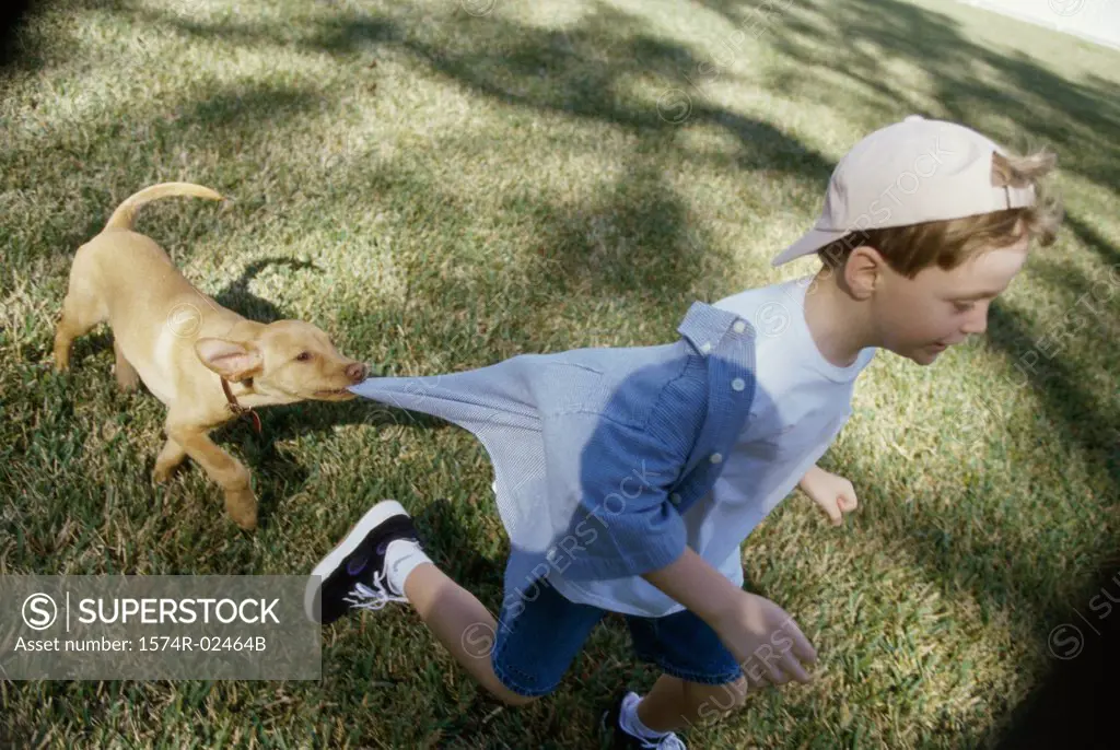 High angle view of a boy playing with his dog