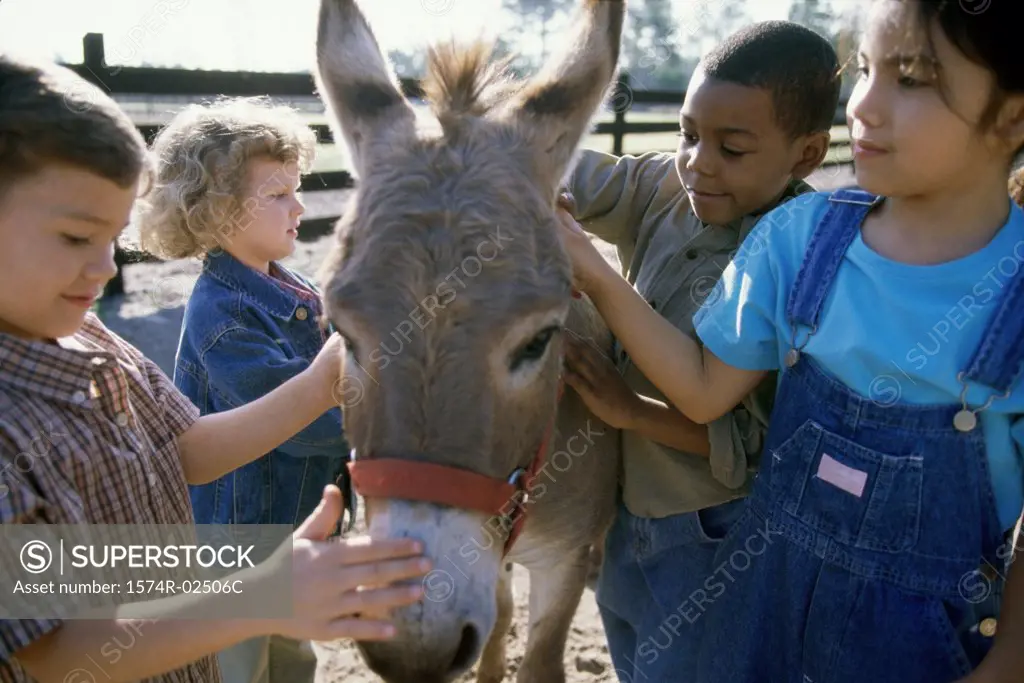 Group of children standing with a donkey