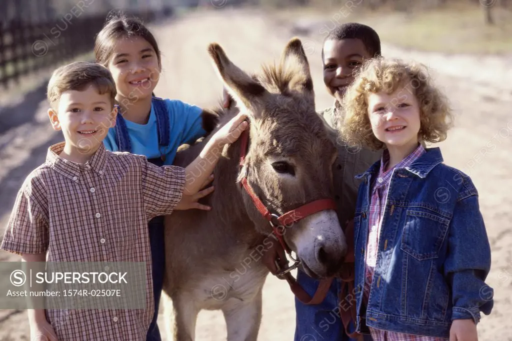 Portrait of a group of children standing with a donkey