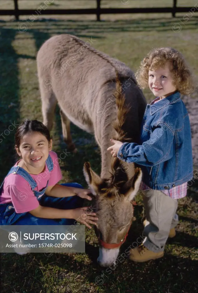 Portrait of two girls petting a donkey