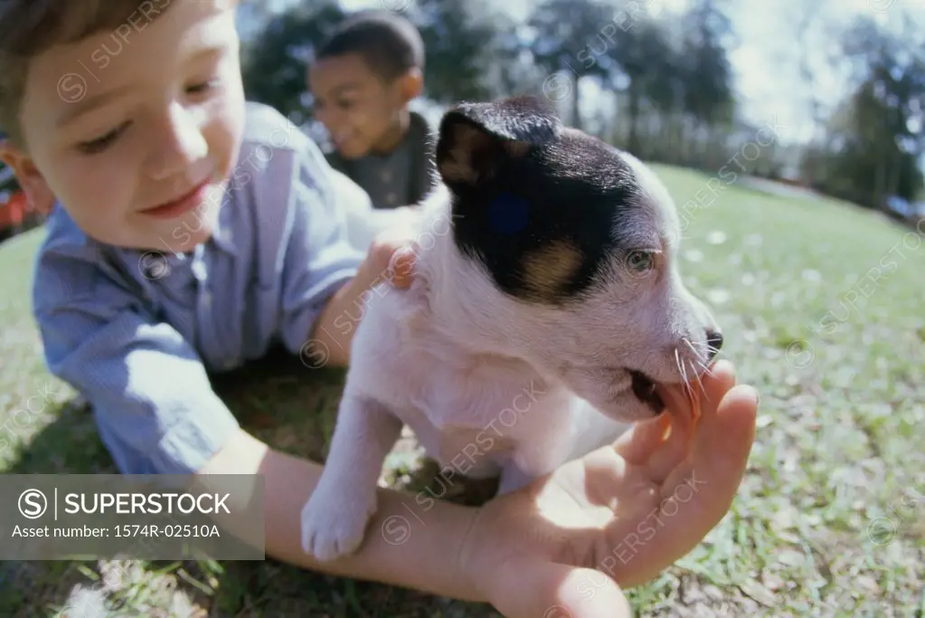 Close-up of a boy holding his puppy