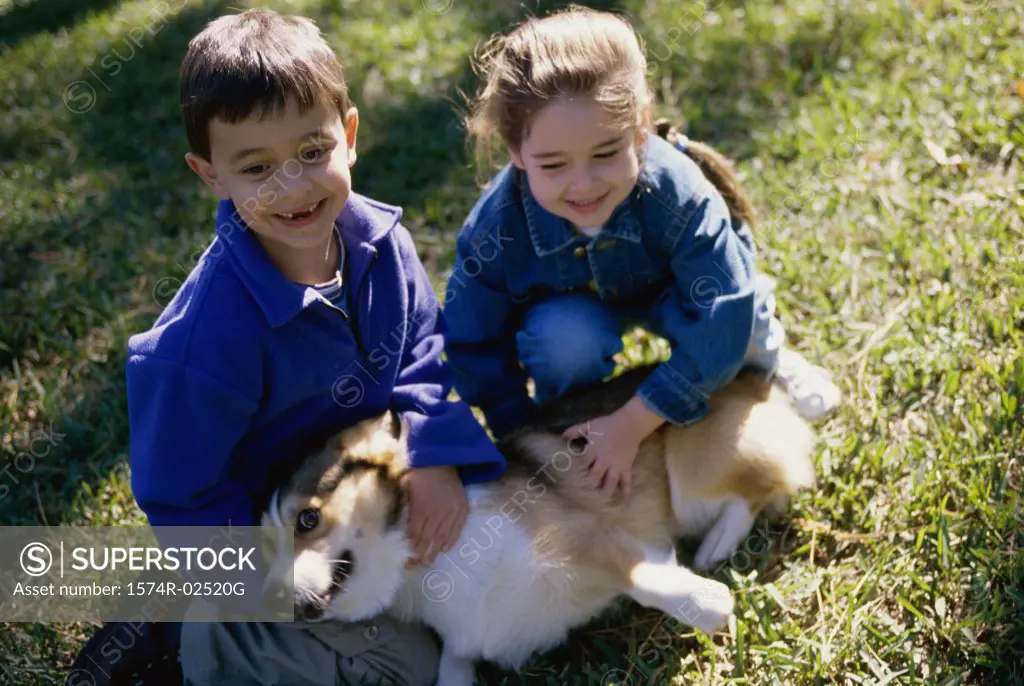 High angle view of a boy and a girl petting their dog