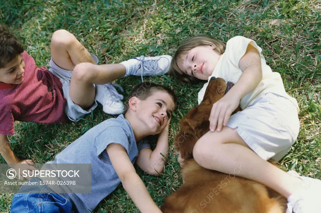 High angle view of two boys and a girl lying on grass with a dog