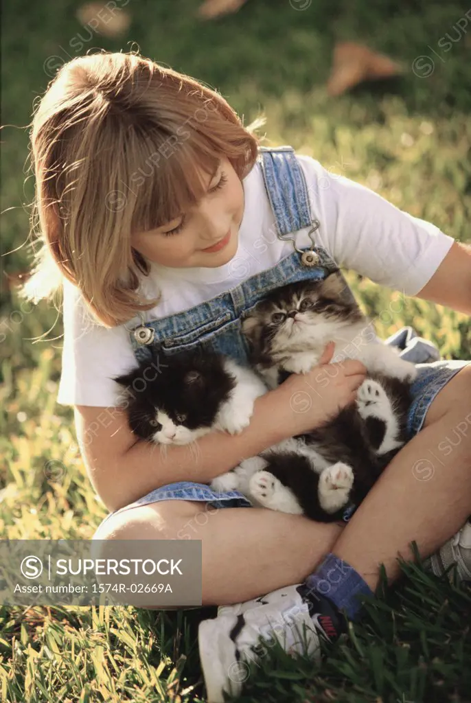 High angle view of a girl holding cats