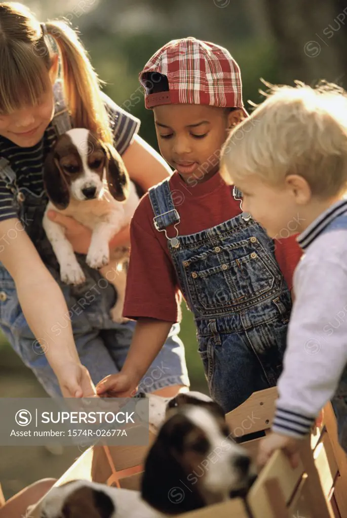 Two boys and a girl playing with puppies