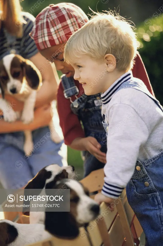 Two boys and a girl playing with puppies