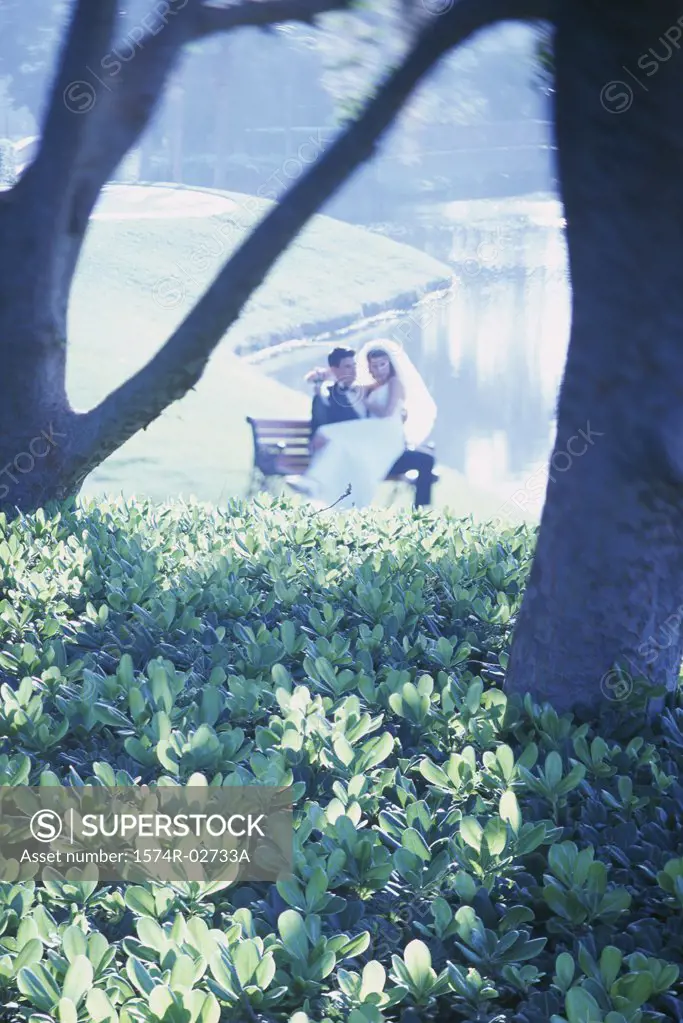 Newlywed couple sitting on a park bench