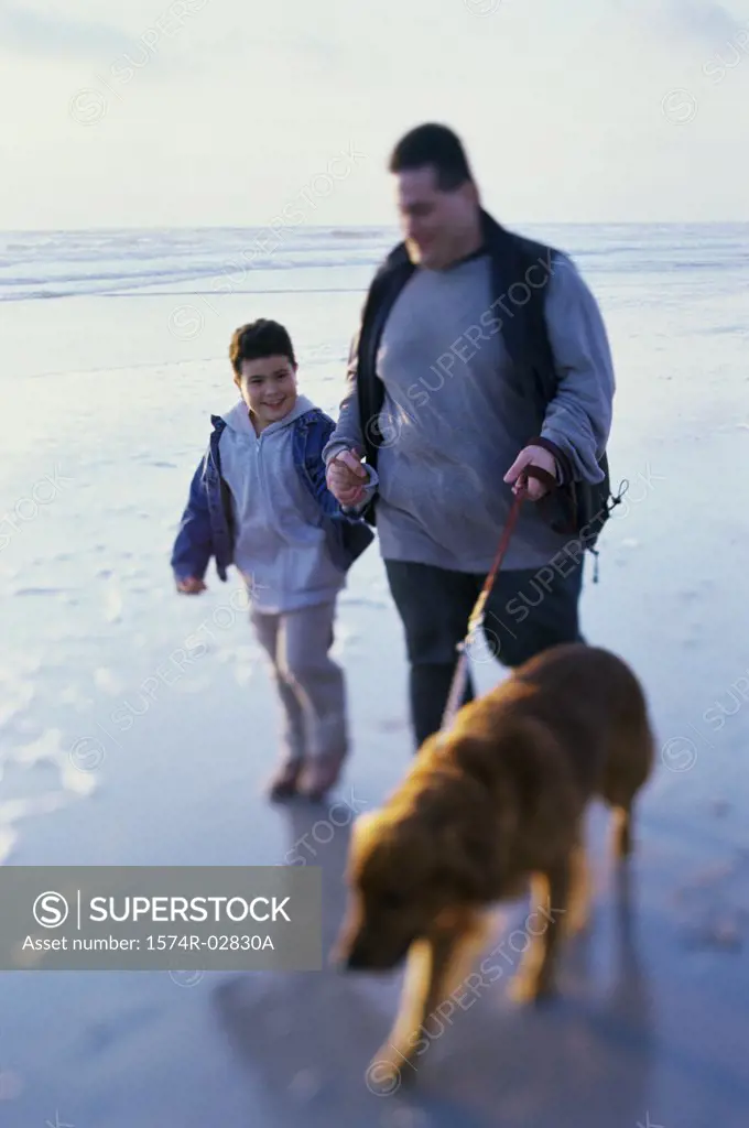 Father and his son walking with their dog on the beach