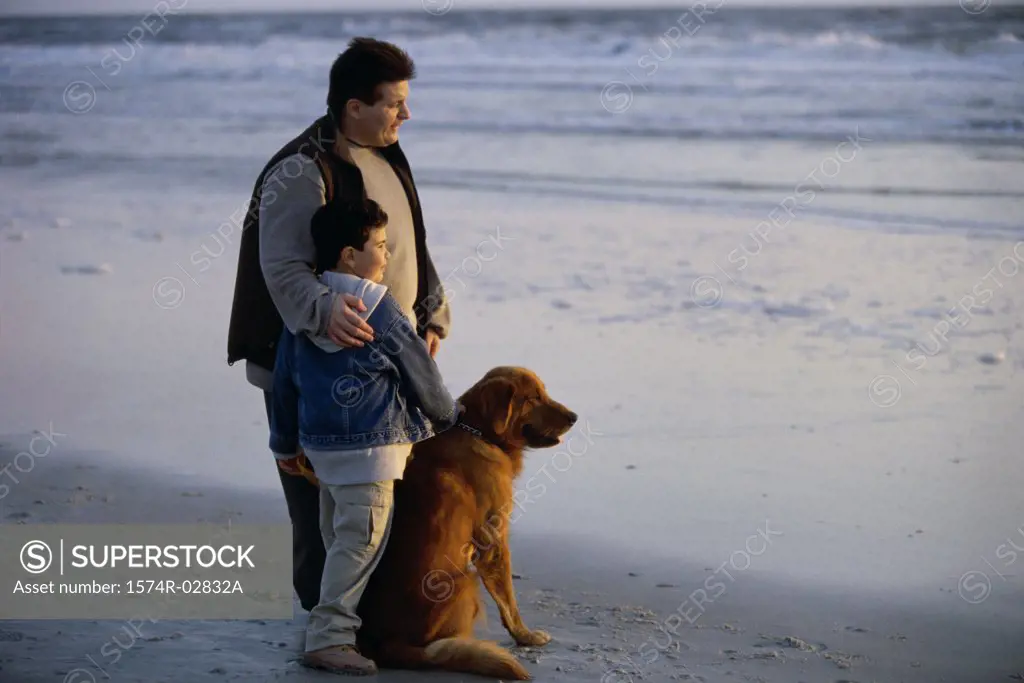 Father and his son with their dog on the beach