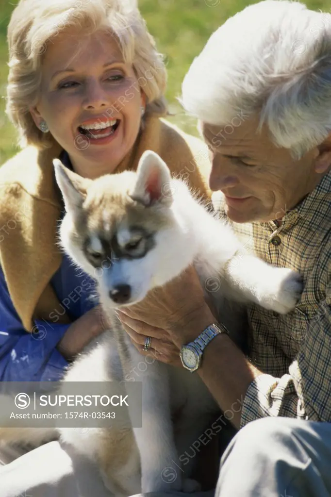 Senior couple holding their dog