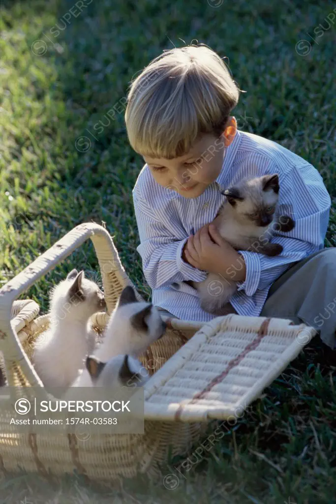 High angle view of a boy holding a Siamese kitten